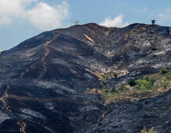 El suelo del cerro de Cristo Rey tardará 20 años en ser recuperado tras incendio: CVC