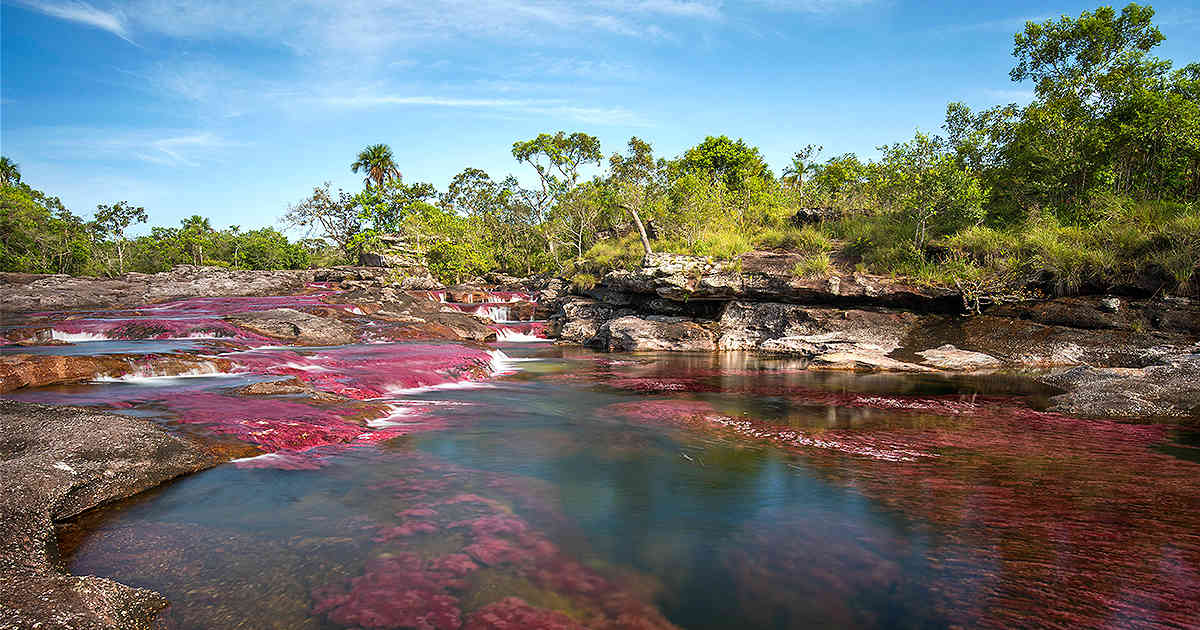 Prohíben entrar plásticos a los Parques Nacionales Naturales en Colombia.