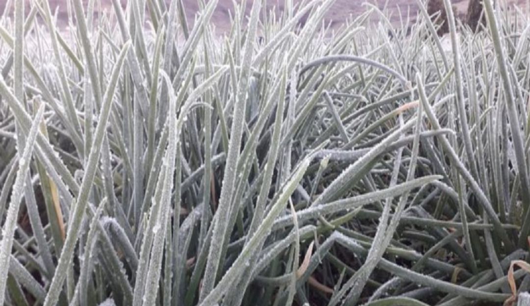 HELADAS EN SANTANDER