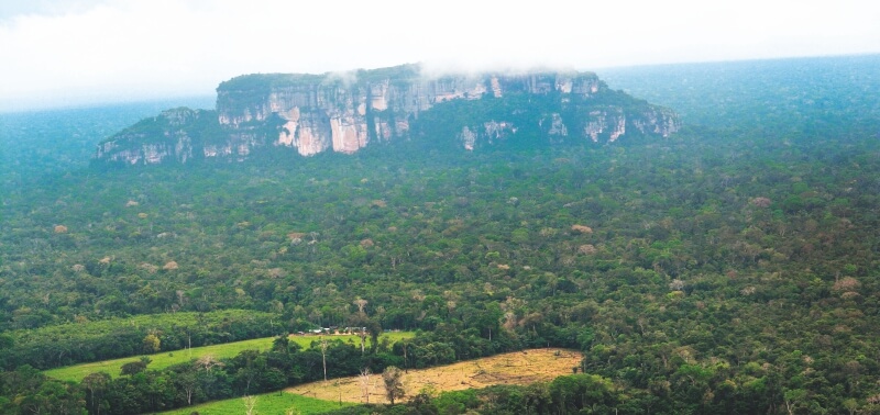 Las deudas ambientales de Colombia en 2019